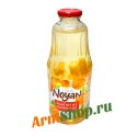 Компот Ноян из Абрикосов Премиум 1050г