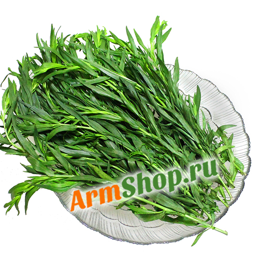 Тархун (эстрагон) из Армении, Чистый продукт ИП, 1 пучок.