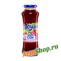 Сок Яблоко-Вишня "Noyan Premium" 0,25л ст. ООО "НОЯН"