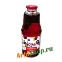 Компот Ноян из Терна Премиум 1050г