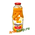 Компот Ноян из Айвы Премиум 1050г
