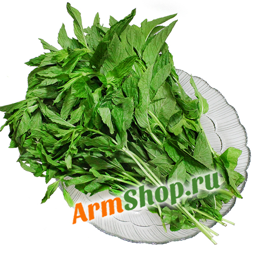 Мята перечная из Армении, Чистый продукт ИП, 1 пучок.
