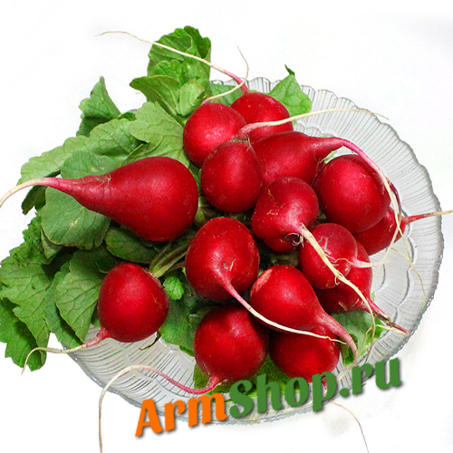 Редис из Армении, Чистый продукт 